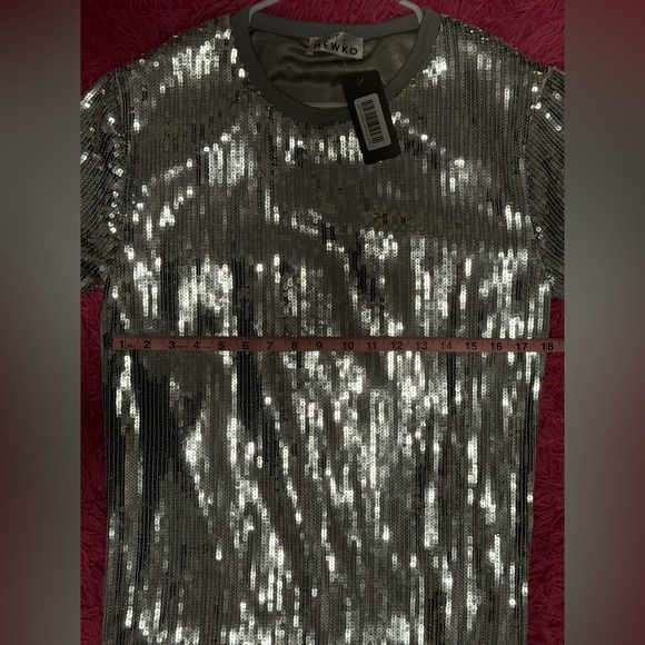 KATE HEWKO Silver Sequin Fringe Short Sleeve Dress - Picture 5 of 5
